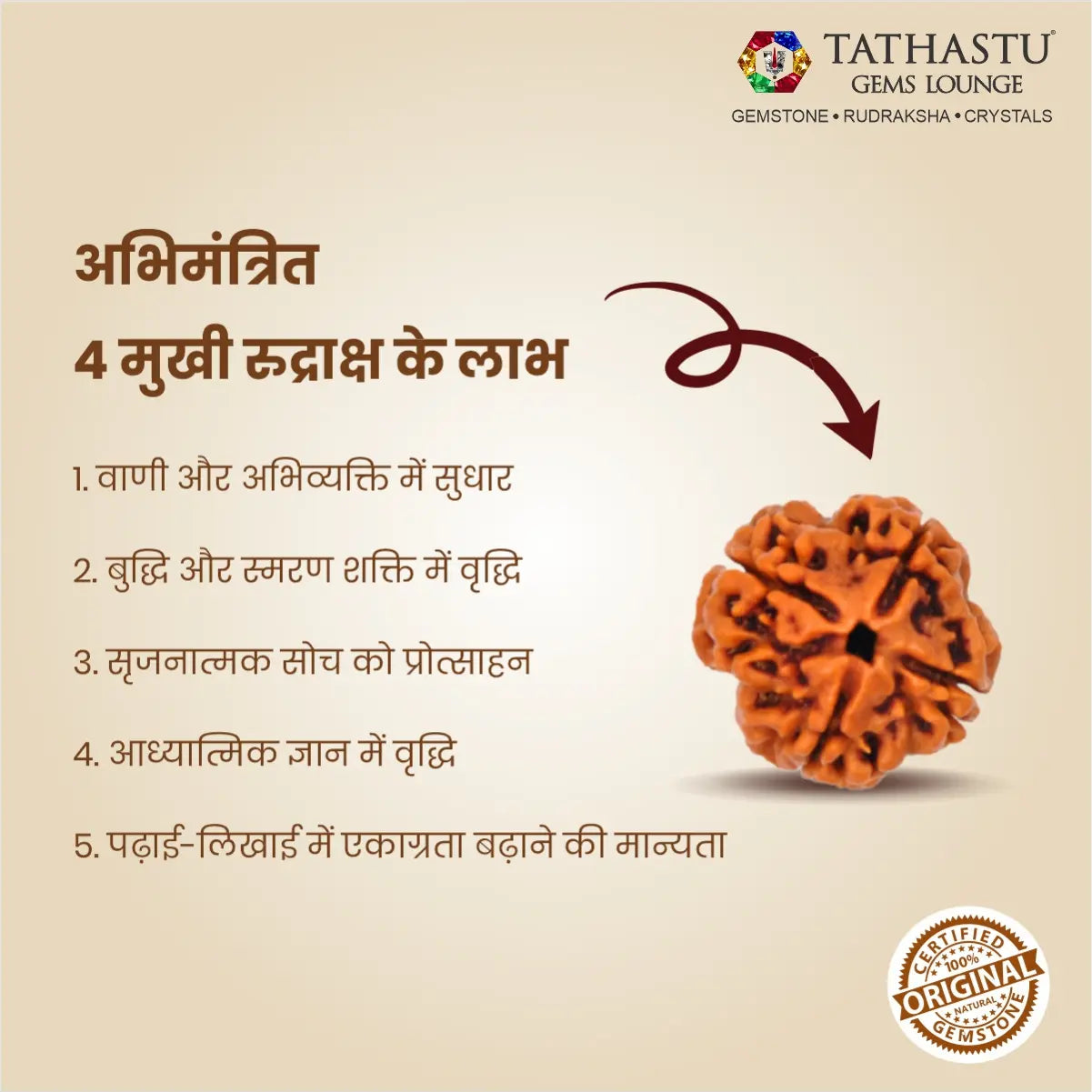 Premium natural 4 Mukhi Rudraksha bead certified for learning, confidence and positive energy