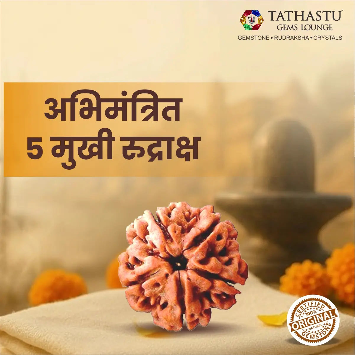 Natural 5 Mukhi Rudraksha certified original Nepali bead for peace, health and Lord Kalagni Rudra blessings