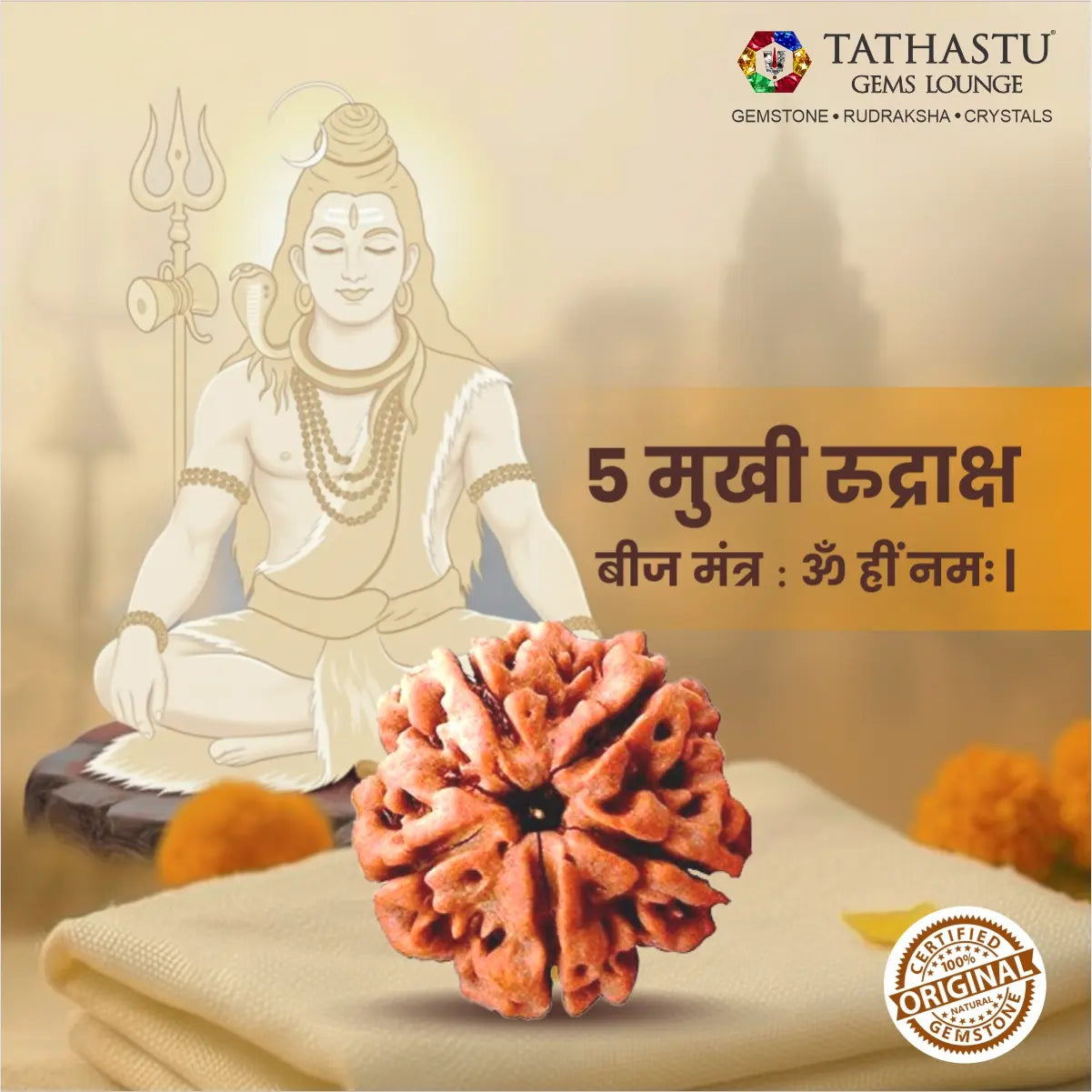 Authentic 5 Mukhi Rudraksha certified natural Rudraksha bead for meditation, spiritual growth and positive energy