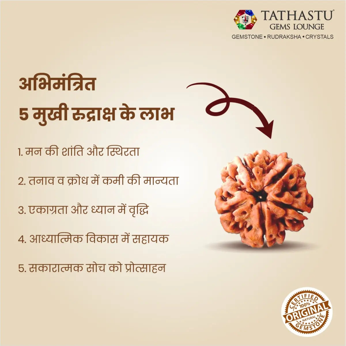 Original Panch Mukhi Rudraksha bead with lab certification for daily wear, protection and inner peace