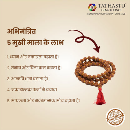 Original 5 Mukhi Rudraksha Mala | Abhimantrit