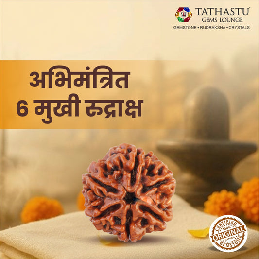 Original 6 Mukhi Rudraksha  |  Nepali Abhimantrit