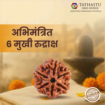 Abhimantrit Original 6 Mukhi Rudraksha bead at Tathastu Gems Lounge displayed near a Shivling with Tathastu logo.