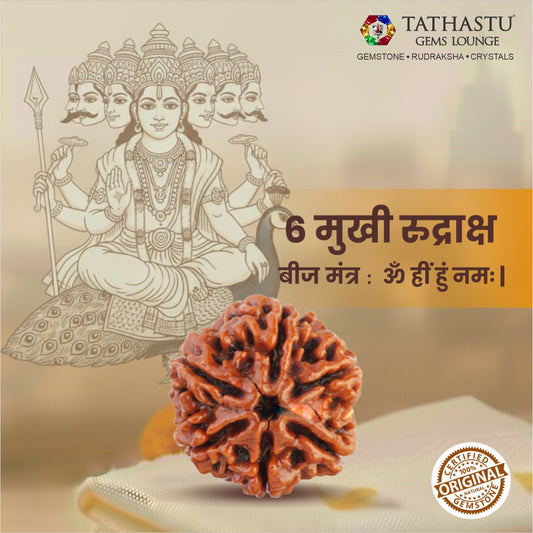 Original 6 Mukhi Rudraksha  |  Nepali Abhimantrit