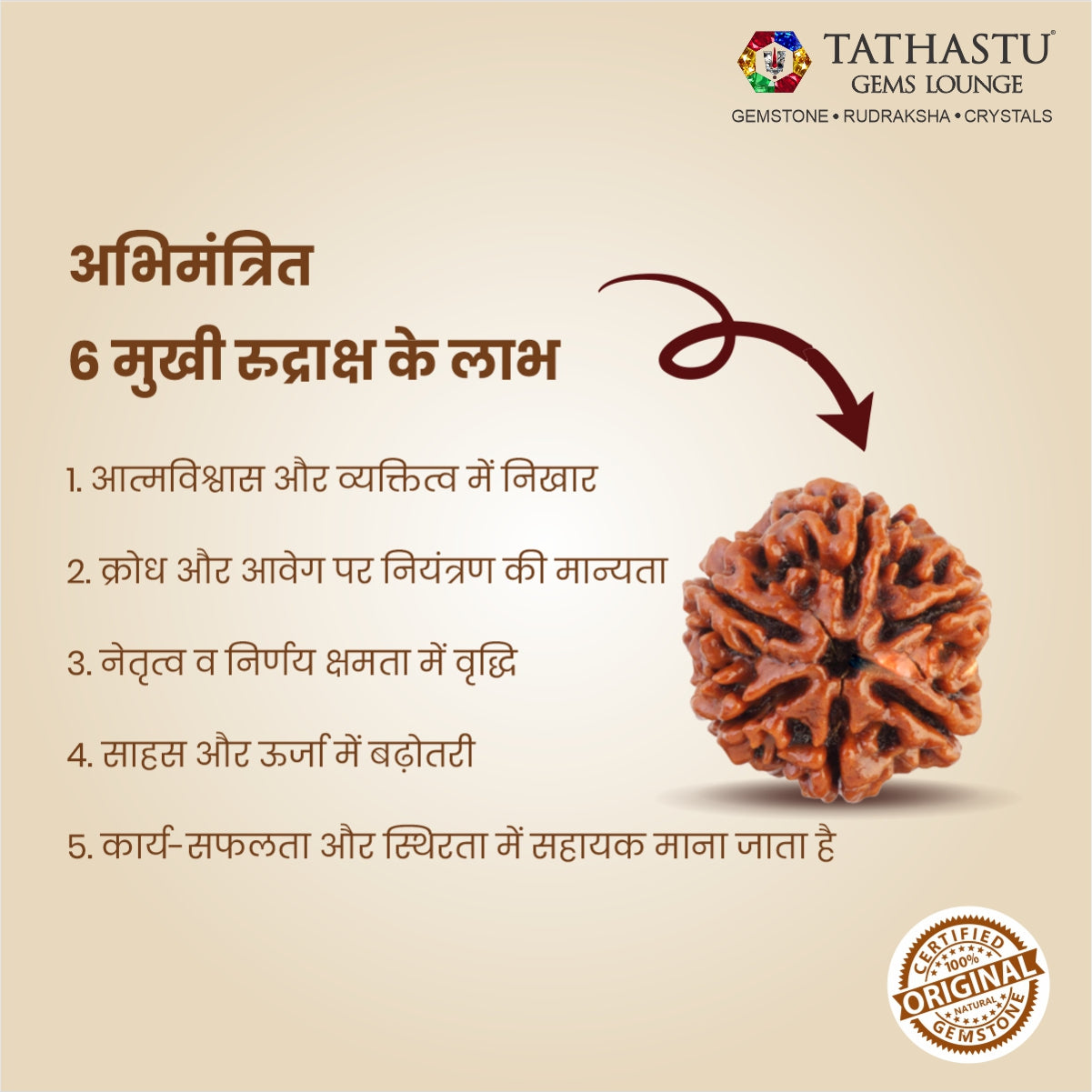 Original 6 Mukhi Rudraksha  |  Nepali Abhimantrit