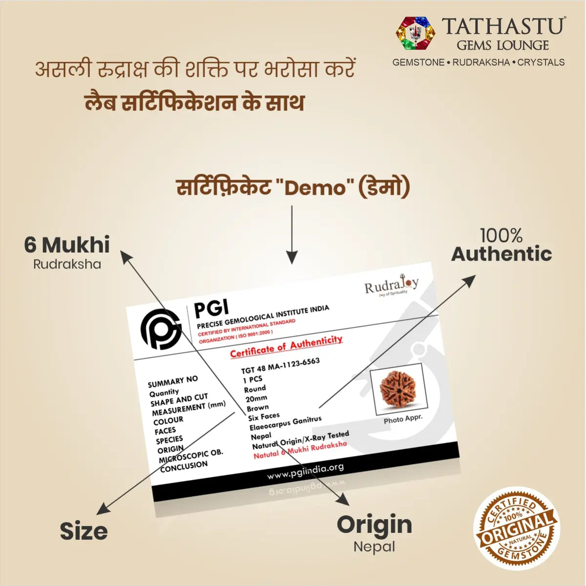 Abhimantrit Original 6 Mukhi Rudraksha bead at Tathastu Gems Lounge with 100% authentic lab test certification report.