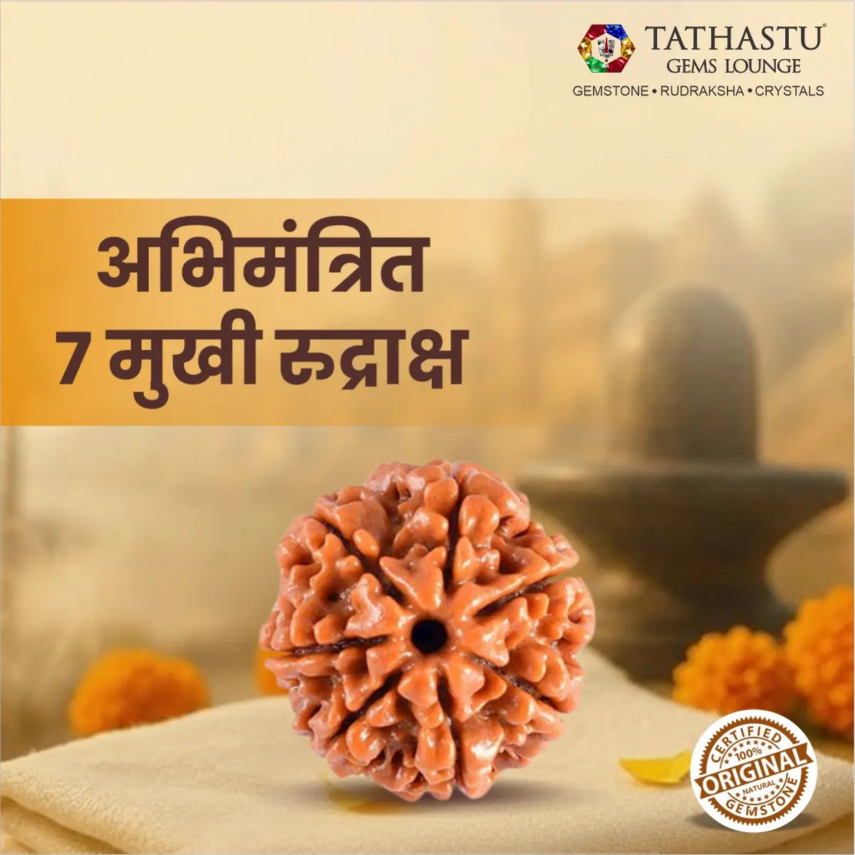 Abhimantrit Original 7 Mukhi Rudraksha bead at Tathastu Gems Lounge displayed with spiritual background and logo.