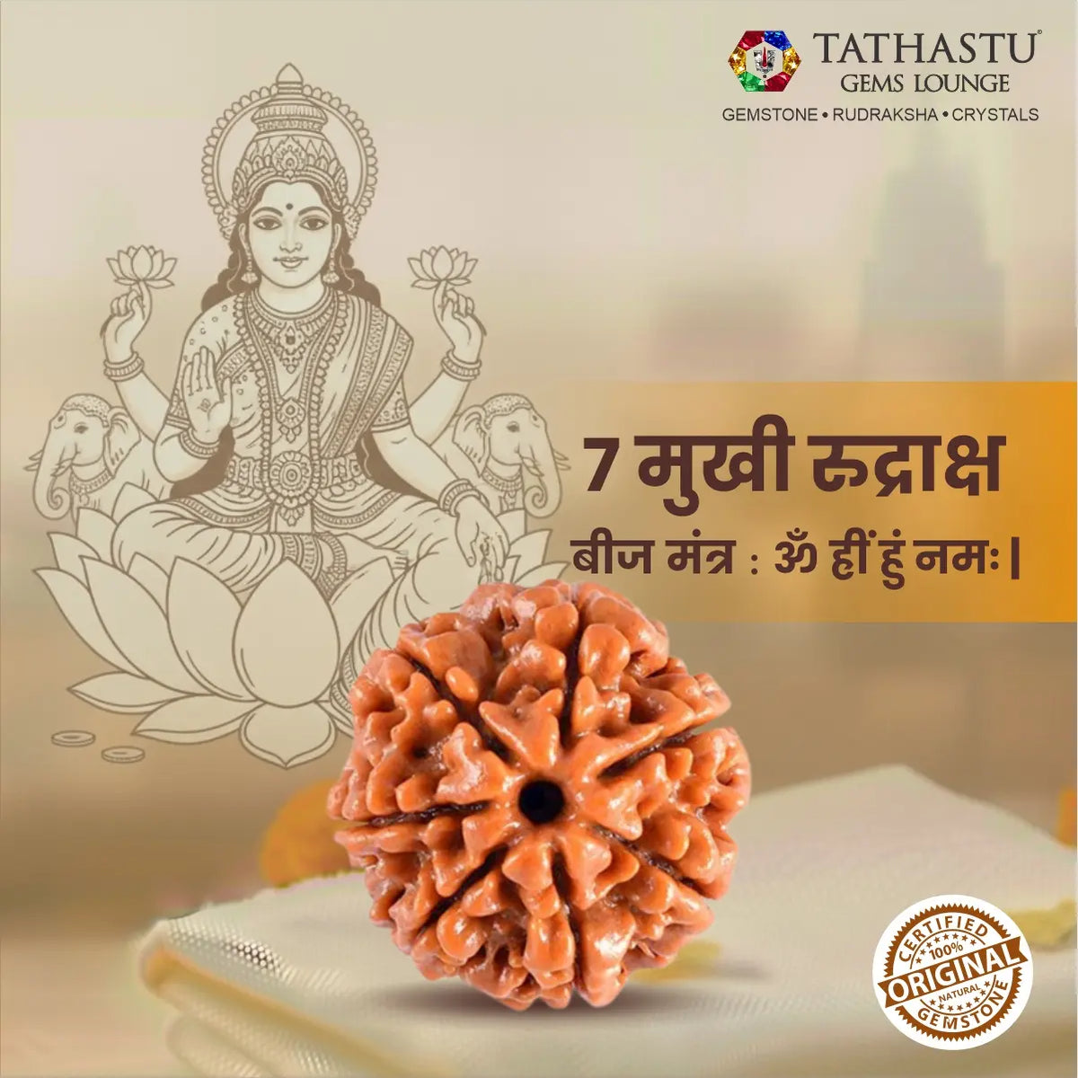 Abhimantrit Original 7 Mukhi Rudraksha bead at Tathastu Gems Lounge featuring Goddess Lakshmi illustration and Mahalakshmi mantra details.