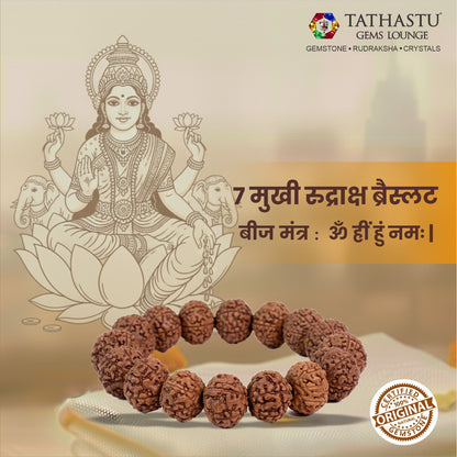 Original 7 Mukhi Rudraksha Braclet | Abhimantrit