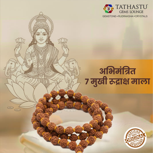 Original 7 Mukhi Rudraksha Mala | Abhimantrit