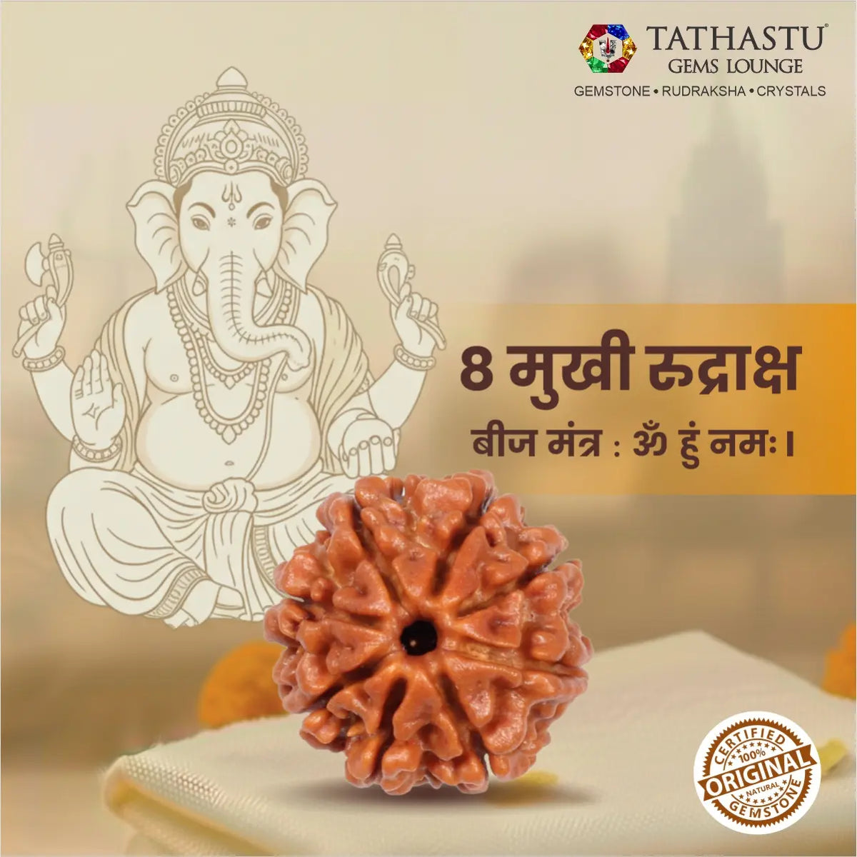 Abhimantrit Original 8 Mukhi Rudraksha bead at Tathastu Gems Lounge featuring Lord Ganesha illustration and ruling planet Rahu mantra details.