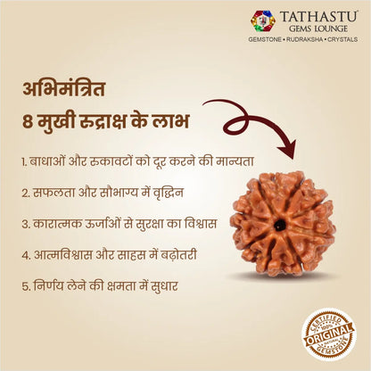 Abhimantrit Original 8 Mukhi Rudraksha bead at Tathastu Gems Lounge showing key benefits for obstacle removal and success in Hindi.