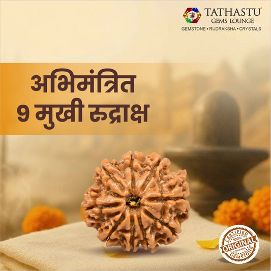 Original 9 Mukhi Rudraksha  |  Nepali Abhimantrit