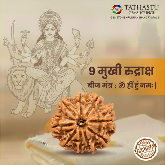 Original 9 Mukhi Rudraksha  |  Nepali Abhimantrit