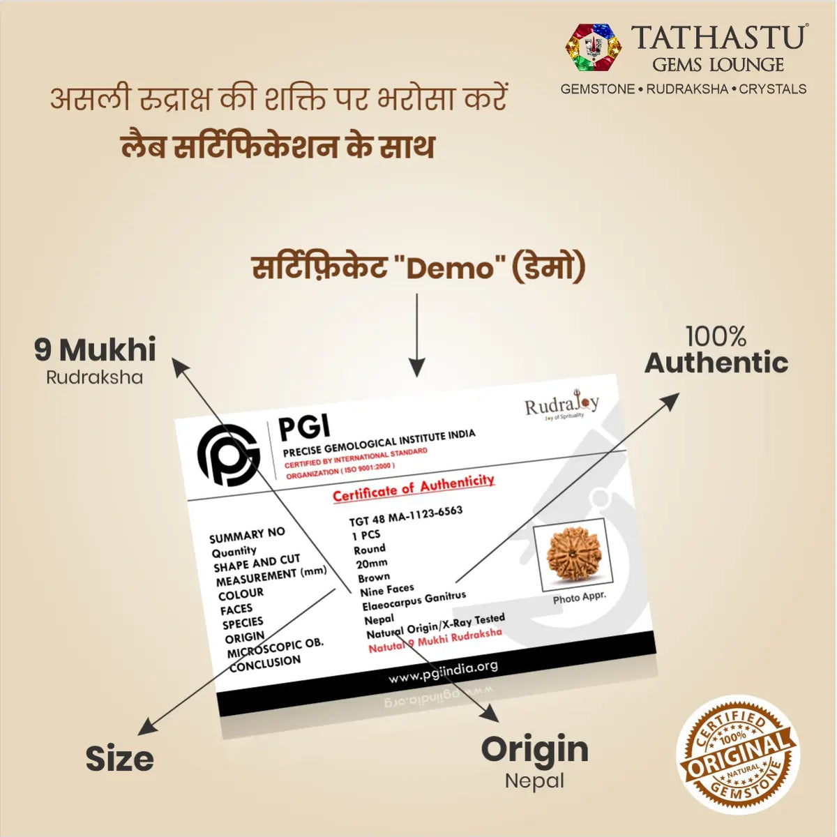 Abhimantrit Original 9 Mukhi Rudraksha bead at Tathastu Gems Lounge with 100% authentic lab test certification report.
