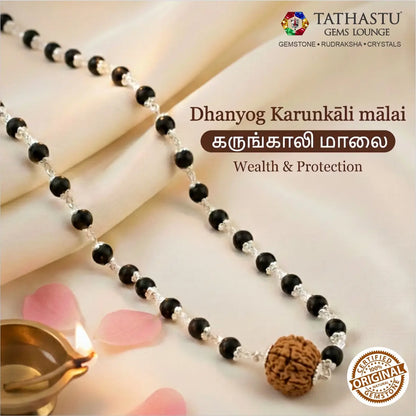 Original Dhanyog Karungali Mala with 7 Mukhi Rudraksha bead for wealth and protection - Tathastu Gems Lounge