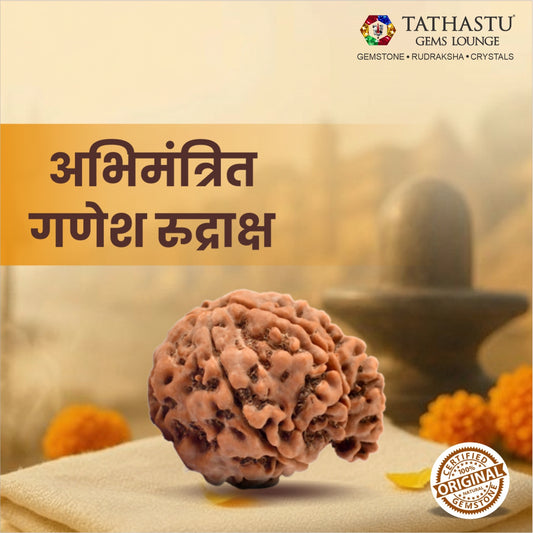 Original Ganesh Rudraksha  |  Nepali Abhimantrit