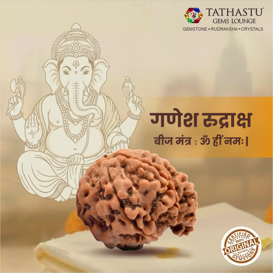 Abhimantrit Original Ganesh Rudraksha bead at Tathastu Gems Lounge featuring Lord Ganesha illustration and mantra details for intellect and wisdom.