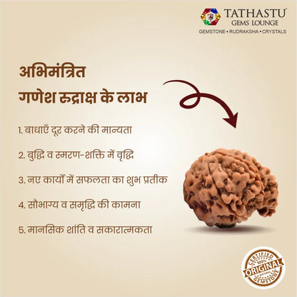 Abhimantrit Original Ganesh Rudraksha bead at Tathastu Gems Lounge showing key benefits for obstacle removal, focus, and mental clarity in Hindi.