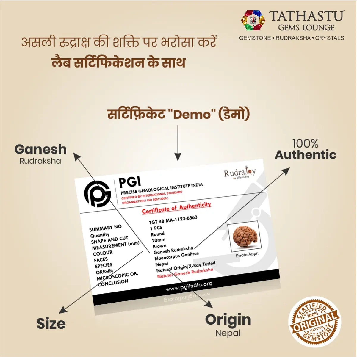 Abhimantrit Original Ganesh Rudraksha bead at Tathastu Gems Lounge with 100% authentic lab test certification report.