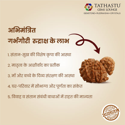 Original Garbh Gauri Rudraksha  |  Nepali Abhimantrit