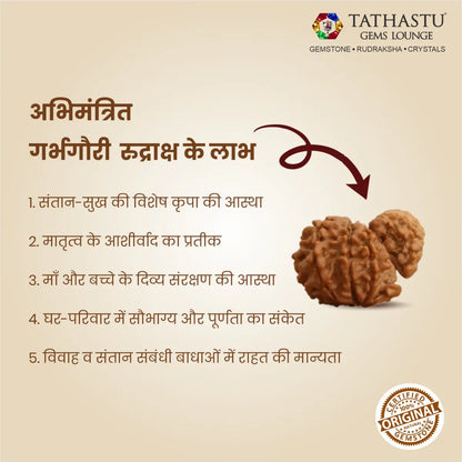 Abhimantrit Original Garbh Gauri Rudraksha bead at Tathastu Gems Lounge showing key benefits for maternity, child protection, and harmonious relationships in Hindi.