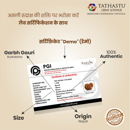 Original Garbh Gauri Rudraksha  |  Nepali Abhimantrit