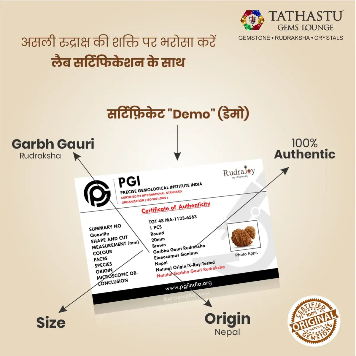 Abhimantrit Original Garbh Gauri Rudraksha bead at Tathastu Gems Lounge with 100% authentic lab test certification report.