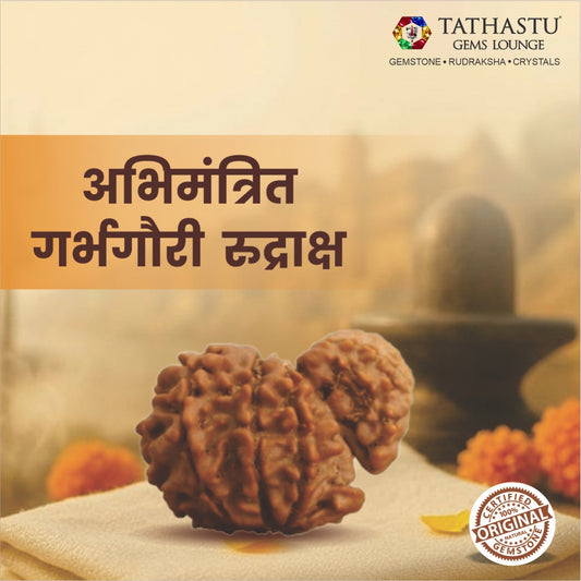 Original Garbh Gauri Rudraksha  |  Nepali Abhimantrit