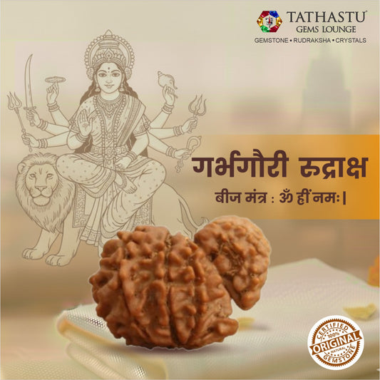 Original Garbh Gauri Rudraksha  |  Nepali Abhimantrit