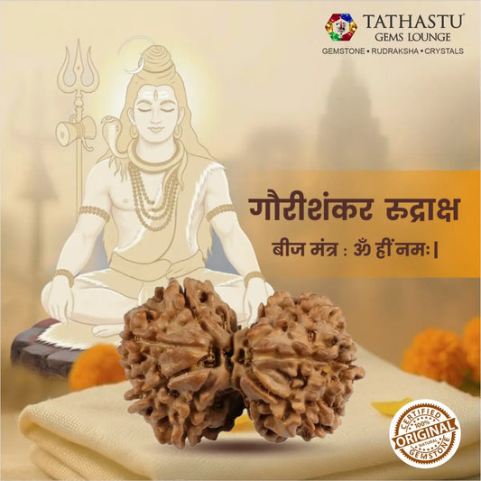 Abhimantrit Original Gauri Shankar Rudraksha bead at Tathastu Gems Lounge featuring Lord Shiva and Goddess Parvati illustration with mantra details for marital harmony.