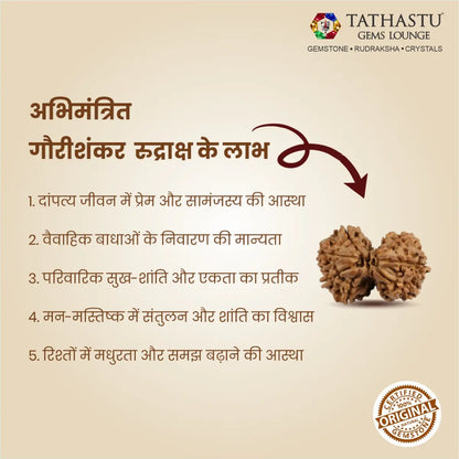 Abhimantrit Original Gauri Shankar Rudraksha bead at Tathastu Gems Lounge showing key benefits for marriage, relationship unity, and peace in Hindi.