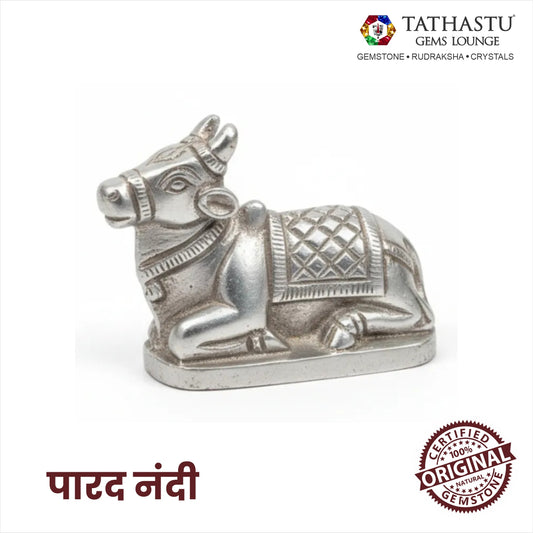Original Parad Nandi 125gm - Real Mercury Nandi for Puja, Meditation & Devotion