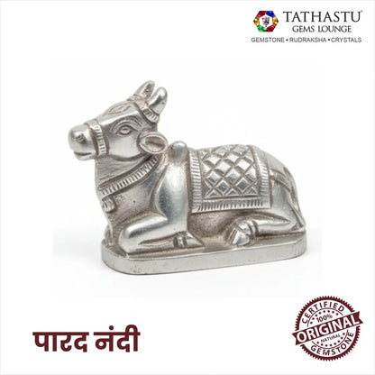 Original Parad Nandi idol made of pure mercury metal - Tathastu Gems Lounge