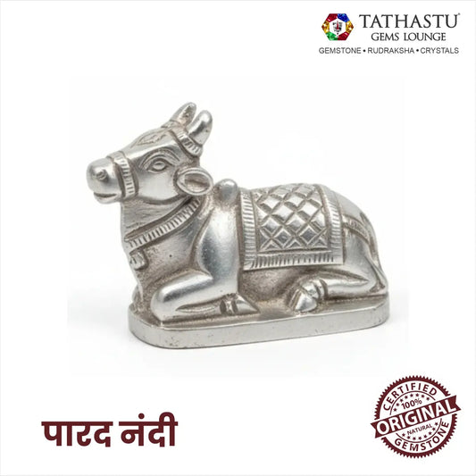Original Parad Nandi idol made of pure mercury metal - Tathastu Gems Lounge