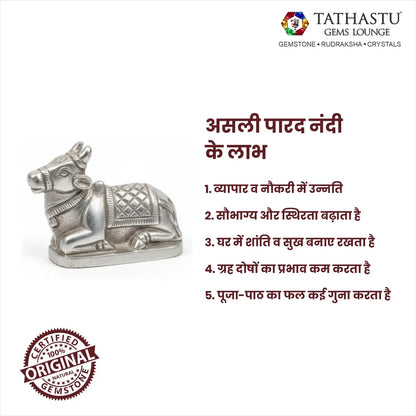 Solid original Parad Nandi idol showing natural silver shine and craft - Tathastu Gems Lounge