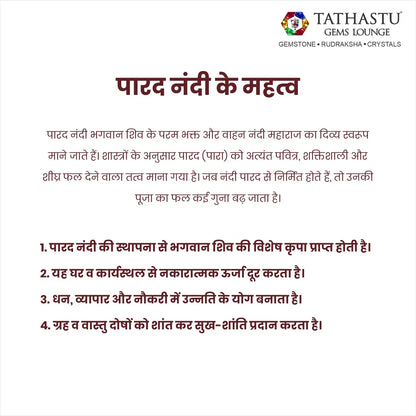 Key spiritual benefits of keeping Parad Nandi near Shivling for blessings - Tathastu Gems