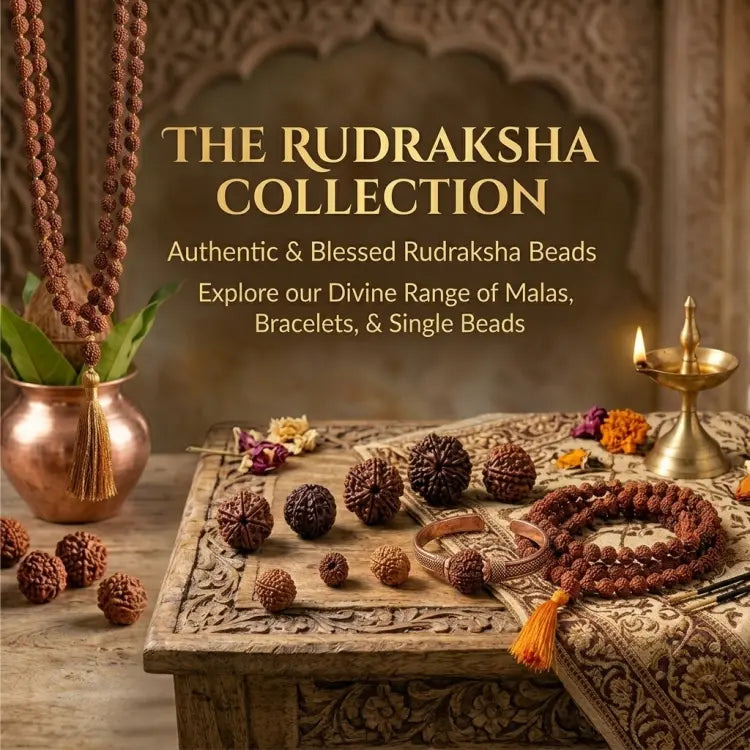 original Rudraksha beads and jewelry Buy now