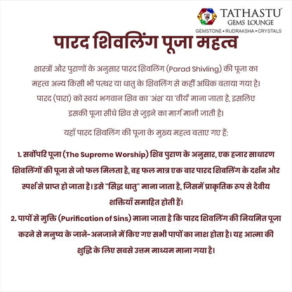 Complete guide on 225g Parad Shivling pooja vidhi, placement direction, and Abhishek - Tathastu Gems Lounge