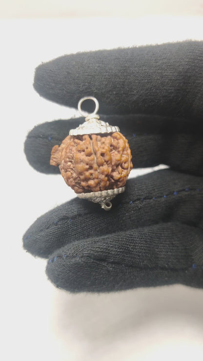 Original Ganesh Rudraksha  |  Nepali Abhimantrit