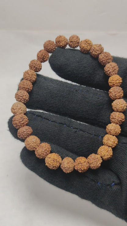 Original 6 Mukhi Rudraksha Braclet |  Abhimantrit