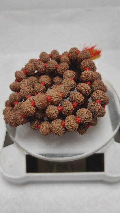 Original 8 Mukhi Rudraksha Mala | Abhimantrit