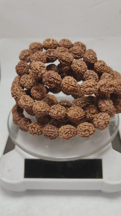 Original 4 Mukhi Rudraksha Mala | Abhimantrit