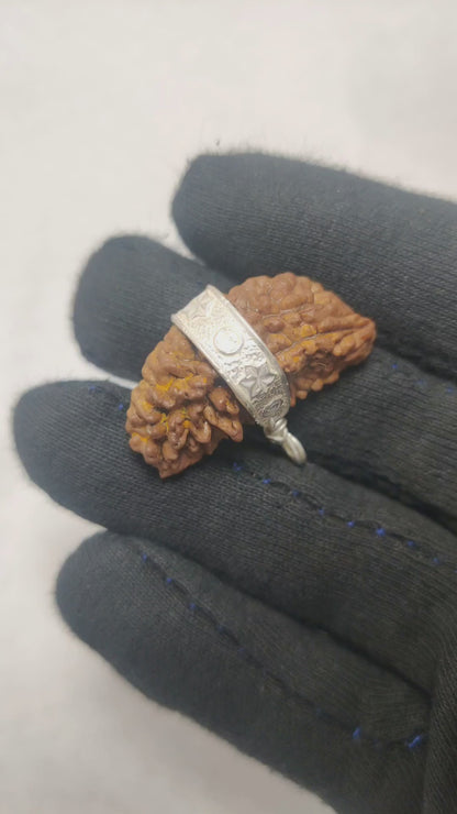 Original 1 Mukhi Rudraksha  |  Nepali Abhimantrit