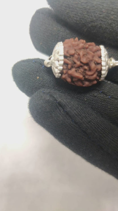 Original 3 Mukhi Rudraksha  |  Nepali Abhimantrit