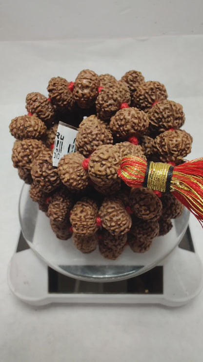 Original 9 Mukhi Rudraksha Mala |  Abhimantrit