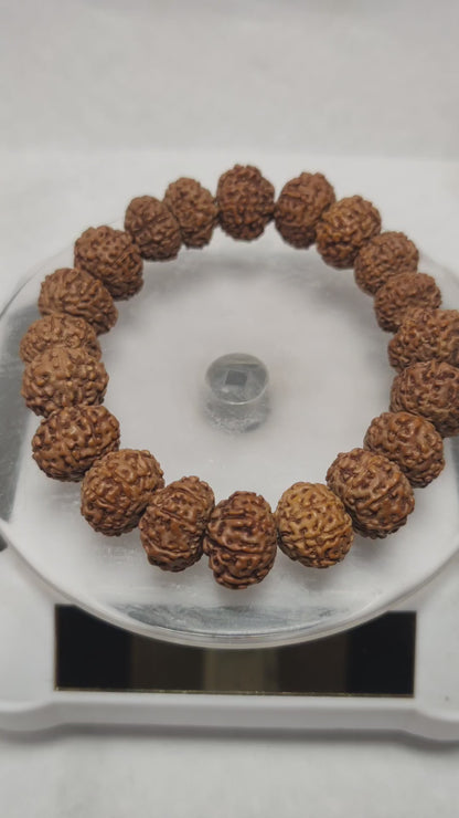 Original 9 Mukhi Rudraksha Braclet |  Abhimantrit